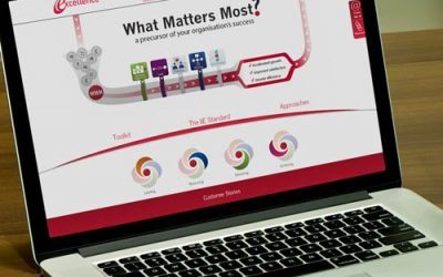 New Website for Investors in Excellence
